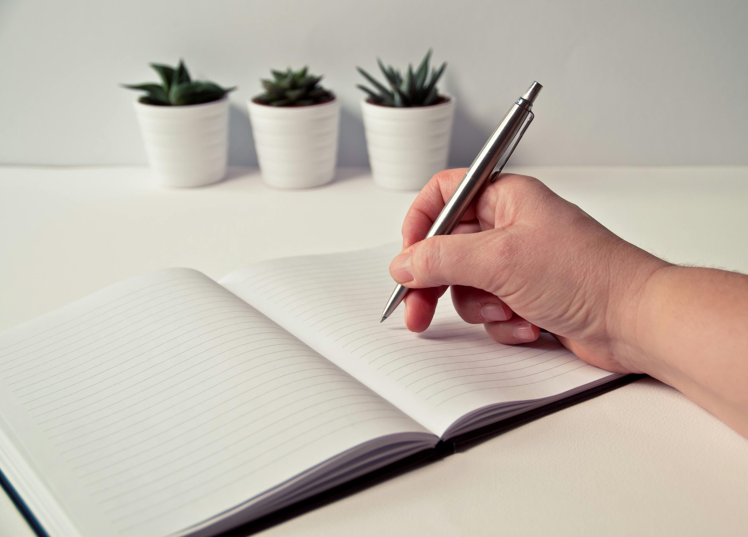 Handwriting in a lined notebook placed on a table with succulent plants in the background.